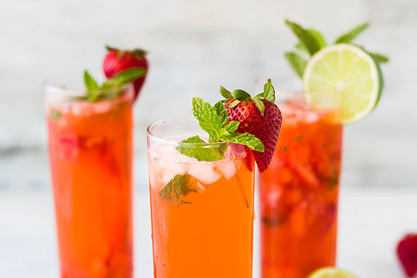 Mesmerize Your Way to a Successful WordPress Theme